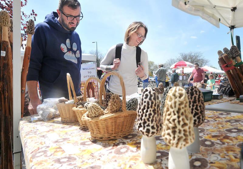 Adrian and Sam Scirenco, of Midlothian, visit a vendor Saturday at Morel Fest in downtown Ottawa. The two were headed to Starved Rock to hike and stopped when they noticed a festival was going on at the Jordan block.